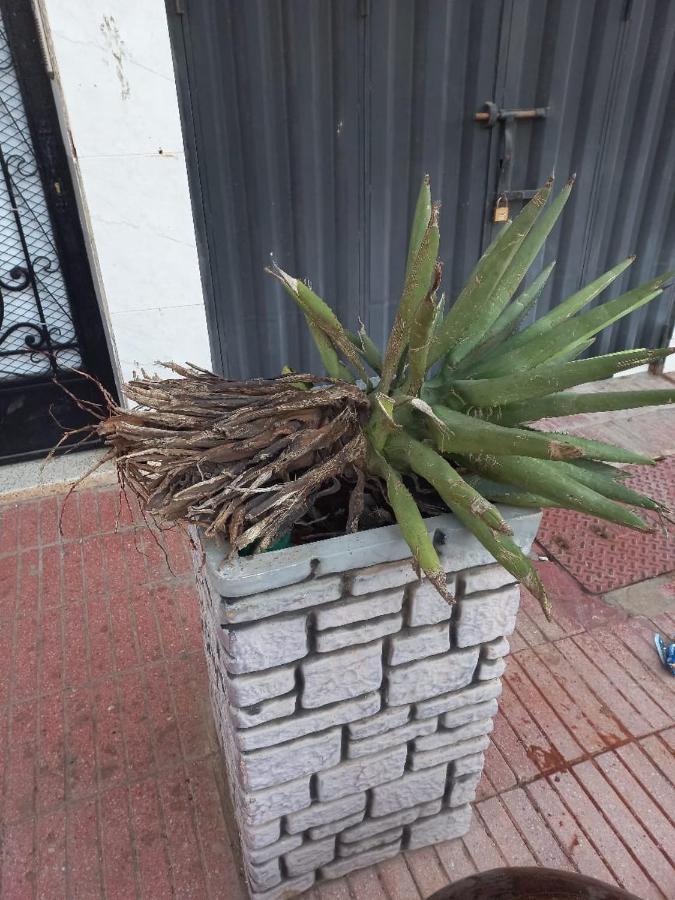 Appartement Hassania Casablanca Exterior foto